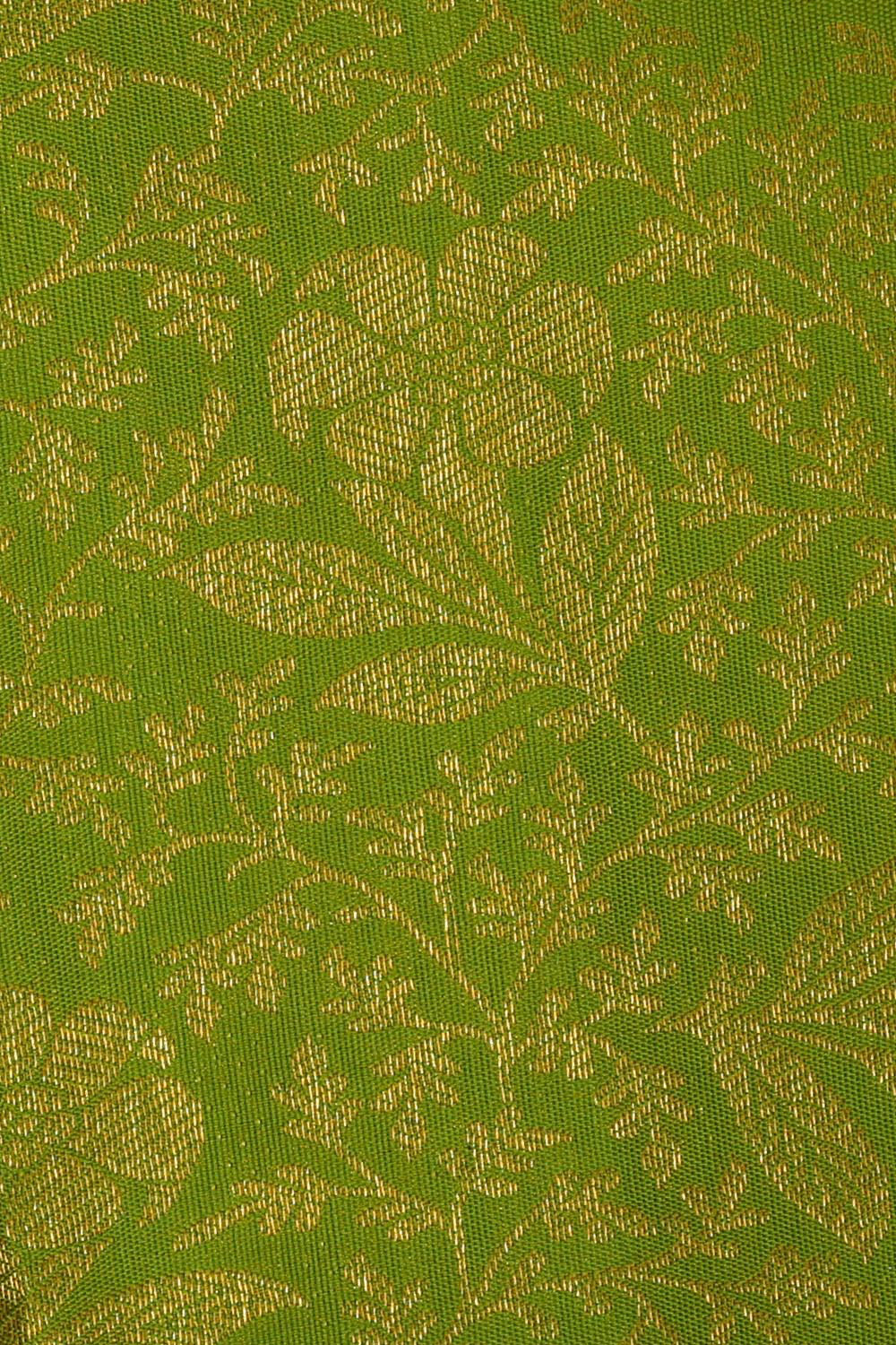 Image of Kanchipattu Parrot Green Brocade Saree